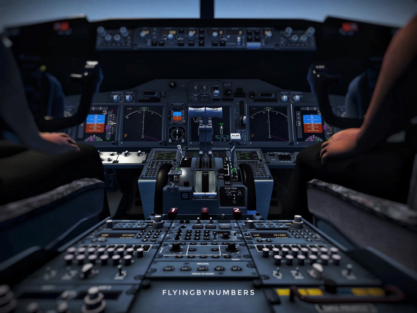 Relief pilot view from the jumpseat