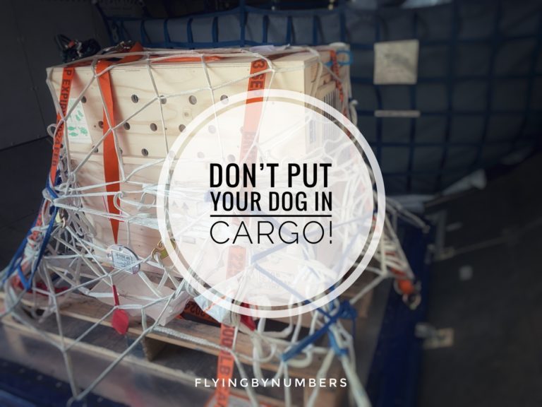 will your dog be stressed if you fly it as cargo? Yes