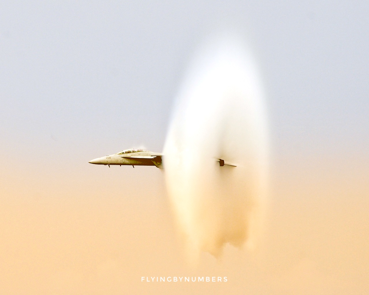 Fighter jet passing the sound barrier