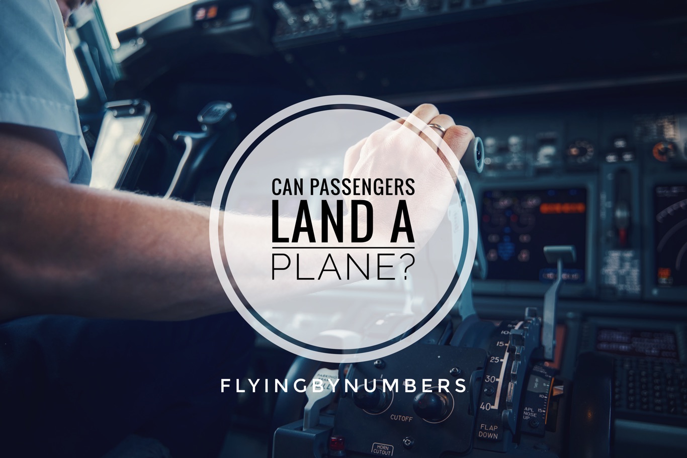 Would a passenger be able to land a commercial plane in an emergency?