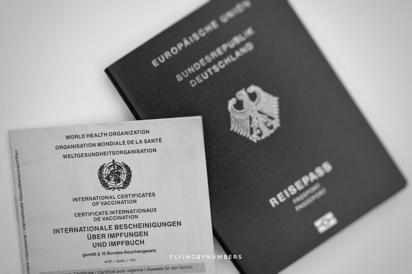 Passport and international certificate of vaccination